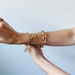 Audrey Link Charm Bracelet in 18K Yellow Gold