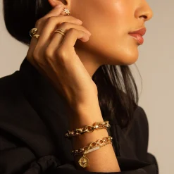 Audrey Link Charm Bracelet in 18K Yellow Gold