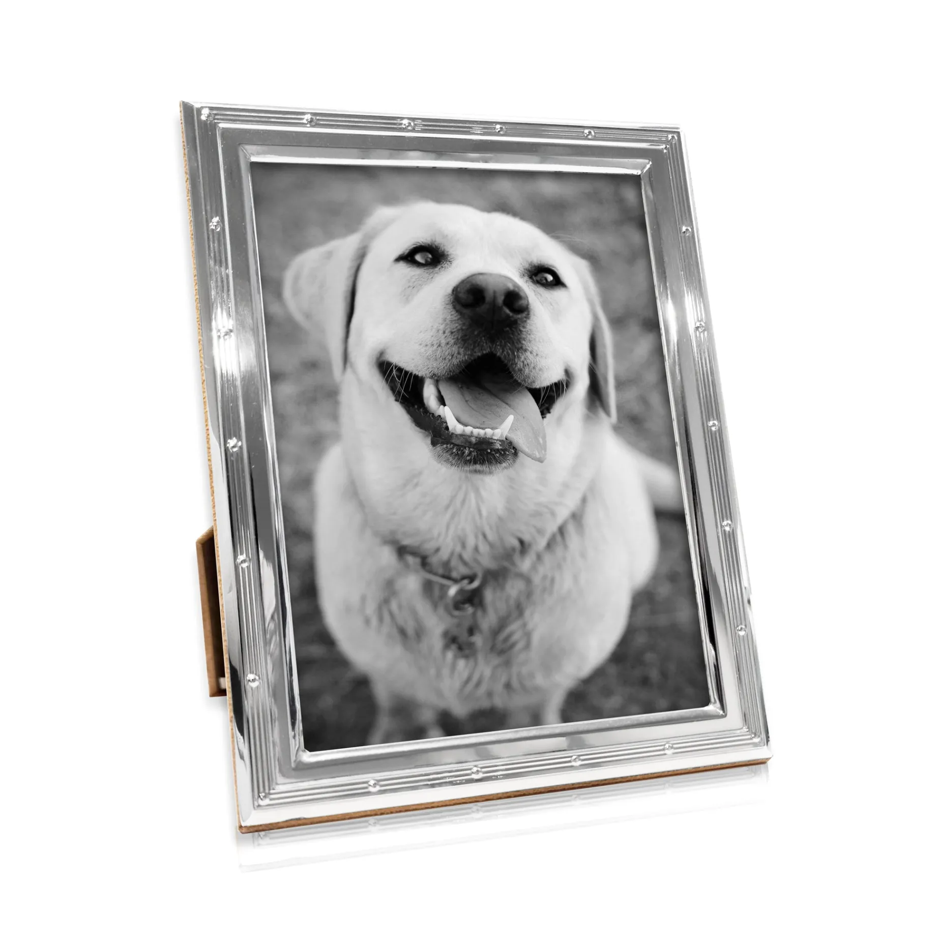 Beaded Pinstripe Silver Frame