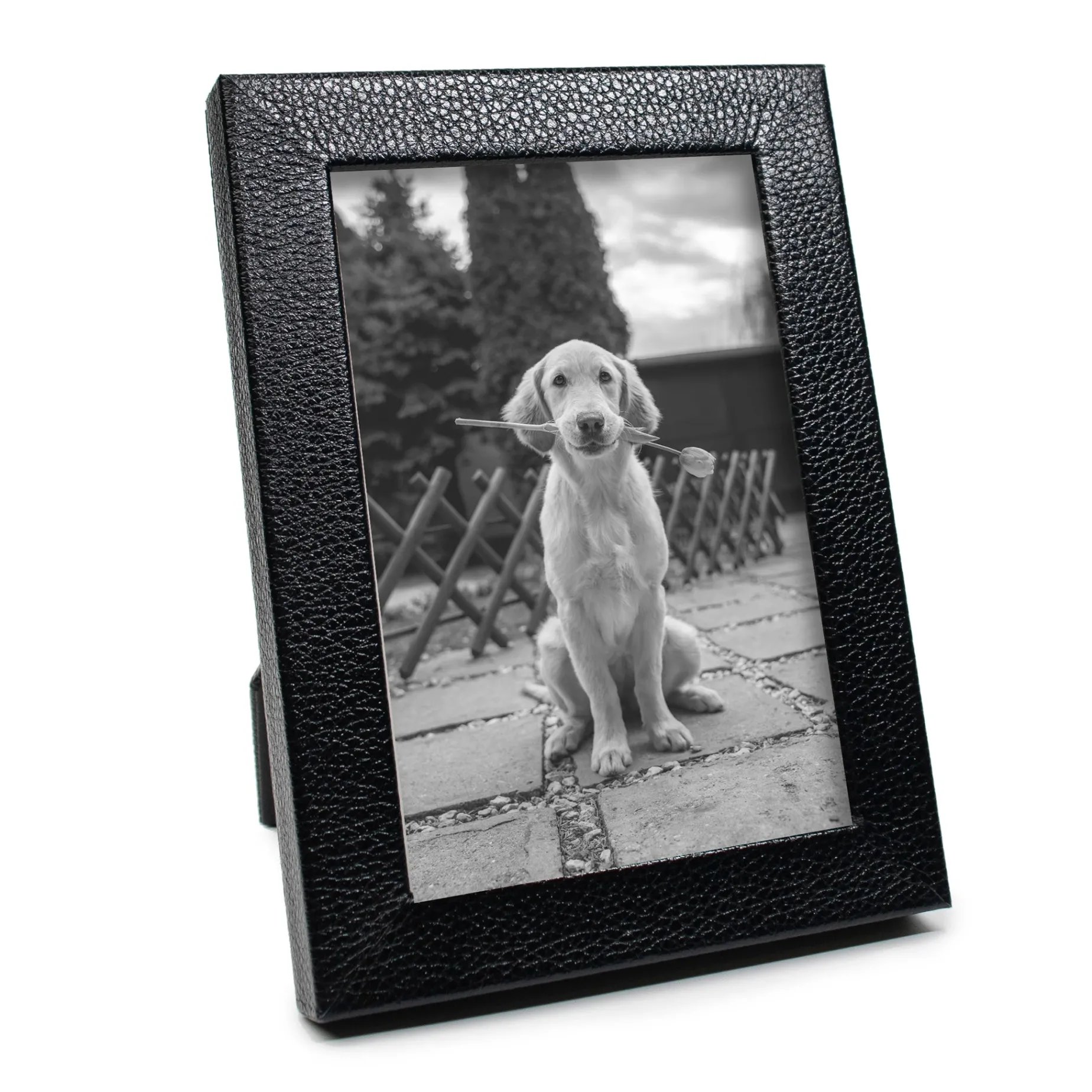 Black Pebbled Leather Frame