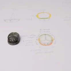 Special Edition Spectrolite Carved Scarab Ring with Orange and Yellow Sapphires, and Tsavorite