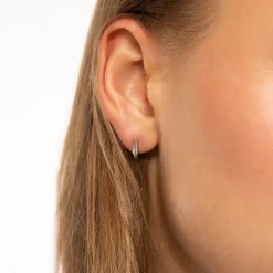 Sterling Silver Petite "Points North" Earring