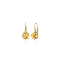 Two-Tone Points North “Polaris” Earrings with Citrine