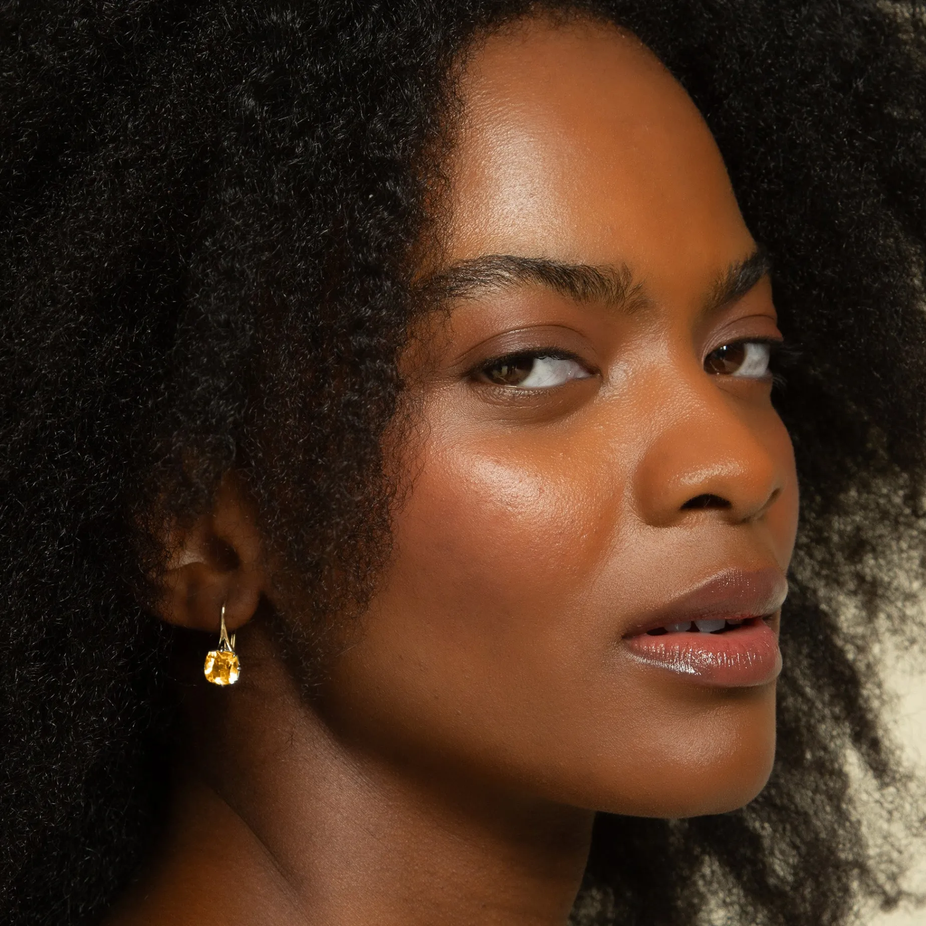 Two-Tone Points North “Polaris” Earrings with Citrine